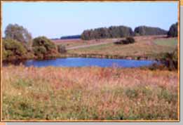 Пруд Старый